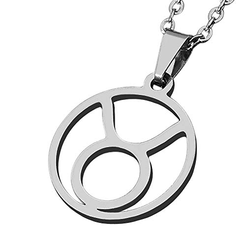 Collier Taureau pour homme ZENSE, le cadeau astrologique idéal avec sa chaîne