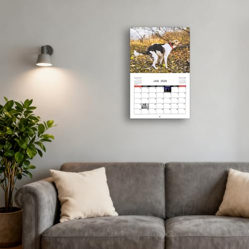 Kackende Hunde Kalender 2026, Dogs Pooping in Beautiful Places Calendar 2026, Hunde beim Kacken Kalender, Pooping Dogs Calender 2026, Lustiger Wandkalender für Hundefreunde