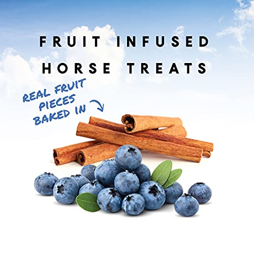 Manna Pro 1030787 Nutrigood Fruitsnax Horse Treats Pumpkinberry + Oats thumb #2