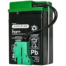 6V Battery for Peg Perego Lil Tractor and Trailer/for Santa Fe Train Children Ride on Car 6V 4AH