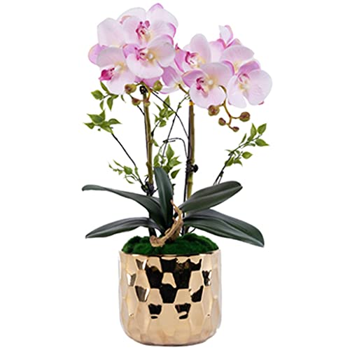 Vase décor simulation orchidée papillon pour pot plastique intérieur salon