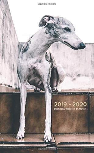 2019-2020 Monthly Pocket Planner: Cute Grey Whippet Dog (24 Month Appointment Book)