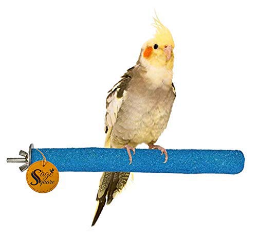 Sage Square Natural Habitat Wood Sand Perch/Stand/Toy for Birds (Light Weight) (Size - 8") (B0875ZYHYS) Amazon Price History, Amazon Price Tracker
