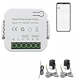 Energy Monitor, Home Smart Single Phase Clamp Electricity Meter with 2 * 120ACT Current Transformer, WiFi, Real-Time Electricity Monitor/Meter, Solar/Network Metering -  EdgeAnt