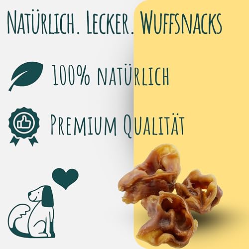 Schweineohrmuscheln für Hunde getrocknet | 1 kg | 100% Schwein | natürlich und hochwertig | Kauartikel zur Zahnpflege | Leckerli von Wuffsnacks