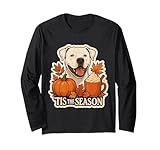 Tis The Season Dogo Perro Argentino Otoño Otoño Calabaza Latte Manga Larga