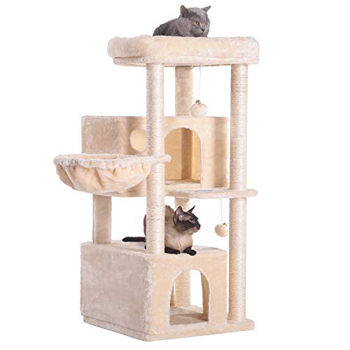10 Best cat tree for ragdoll cats Reviews in (2022) Best