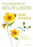 AT Verlag
