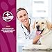 NaturVet S.O.D. & Boswellia Extra Joint Support Dog Supplement – Dog Hip Supplement – Helps Alleviate Aches, Pain – for Dog Flexibility, Healthy Joint Function – 150 Ct. Chewable Tablets