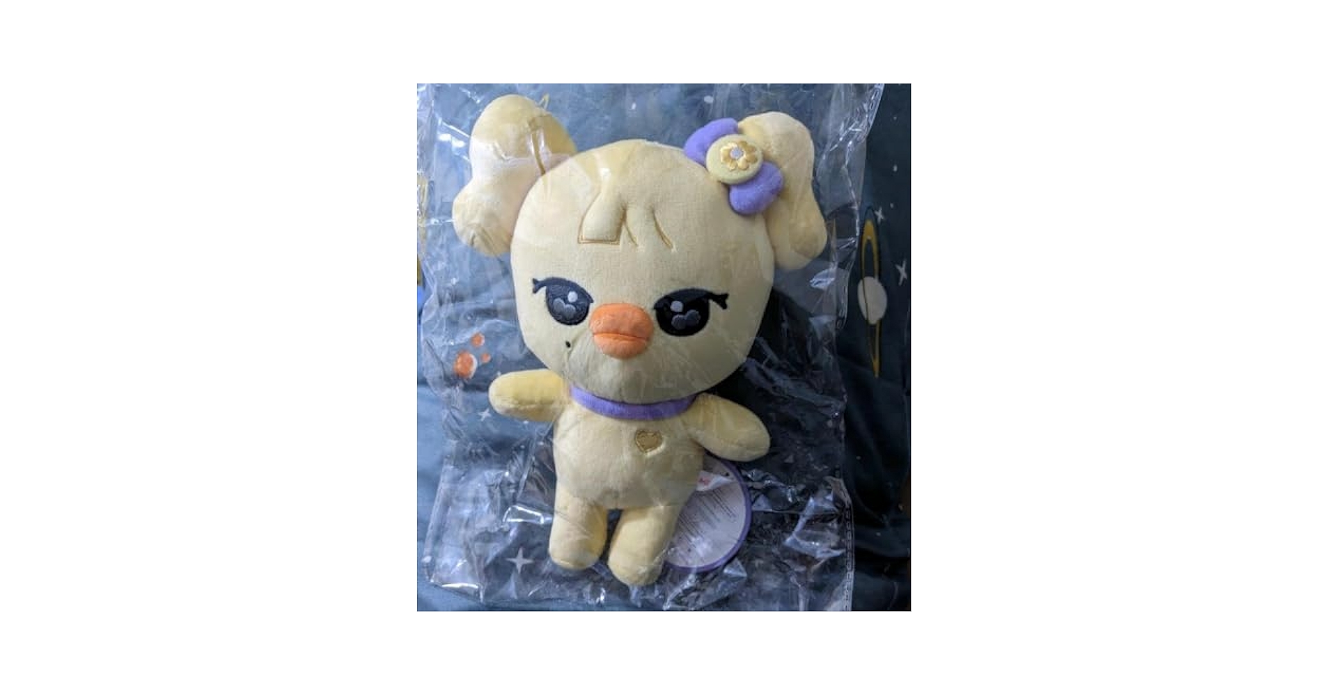 Amazon.co.jp: IVE MINIVE ミニブ レイ ナオリ ぬいぐるみ