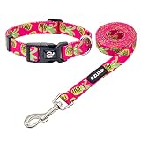 Picture of azuza Dog Collar and Leash Set, Pineapple Patterns on Nylon Collar and Matching Leash, Great Option for Medium Dogs