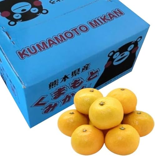 Nǎs F{Y ݂ 2LTCY 10