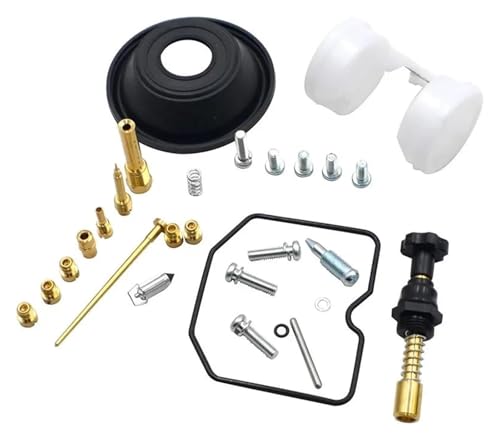 Réparation carburateur moto Kawasaki KLX 250 kit reconstruction pour entretien hivernage 01-07