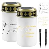 Behogan 2 Stück Grablicht, Solar LED Grablicht mit Erdspieß, Wasserdichtes...