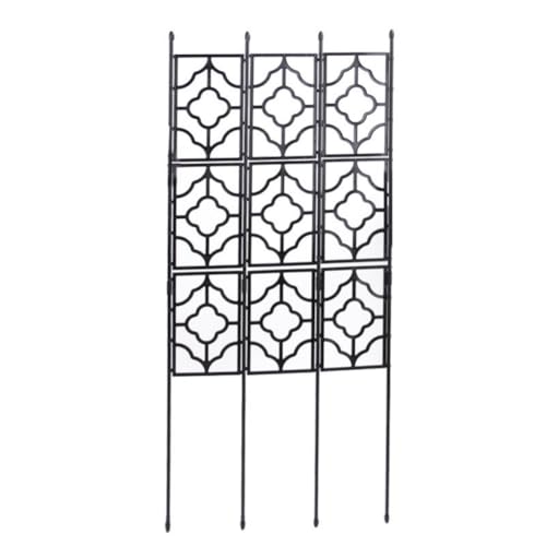 JIALAGESAtFX gX K[ftFX K[fjO   K[fjO o KNtFX | Ԓd O nC^Cv ACA Rɑgݍ킹 ubN 180*64.5cm