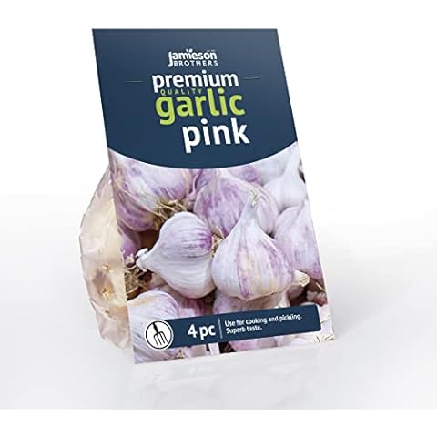 Jamieson Brothers Pink Garlic Bulbs for Planting Cover