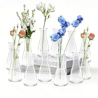 LUOJINYI Kleine Vasen, 12 Stück Glas Vasen Klein Tischdeko für Hochzeitsdeko, Kleine Glasvasen Flower Glasfläschchen für Tischdeko Mittelstücke, Hochzeitsdekorationen
