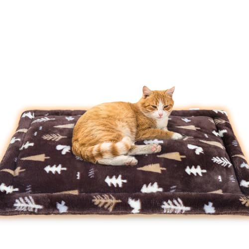 LuckinSleepyo[Vu×WfMzybg}bg [GAQA~V[g]lRۖhLG} zM CICAێH  L NbV}bg ~p ې ybg\t@[ L90x65cm ԕuE