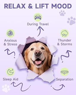 Calmante per Cani, Gocce Calmanti per Cani durante Separazione, Fuochi d'Artificio, Temporali, Abbaio, Aiuto per il Sonno, Sollievo dall'Ansia per Cane Contiene L-Tryptophan, Camomilla, Vitamine, 60ml