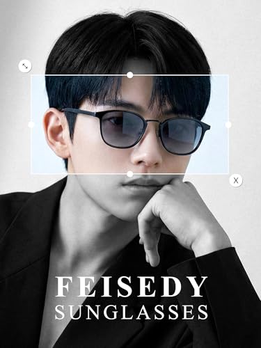 FEISEDY UV400 超軽量PCサングラス B1426