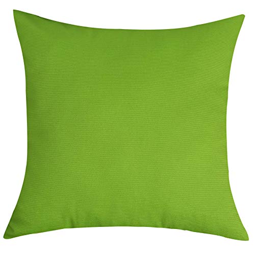 TangDepot Cotton Solid Throw Pillow Cover, 12 INCH x 12 INCH, Apple Green