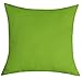 TangDepot Cotton Canvas Throw Pillow Cover - Handmade - Many Colors Avaliable (12"x12", Apple Green)
