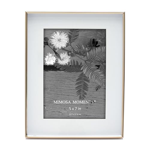 MIMOSA MOMENTS 7x9 Brass Shadow Box Frame