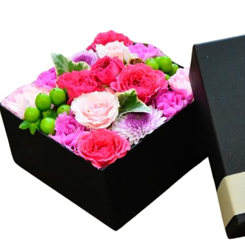 ARNEiAlj  {bNX t[AWg BOXt[ t[Mtg a v[g AW  j yԃsN{BOXz