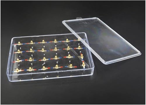 FAWFCJD Magnetfeld-Demonstrationsplatte, 1 Satz Magnetmodell