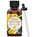 Artizen Ylang Ylang Essential Oil (100% PURE & NATURAL - UNDILUTED) Therapeutic Grade - Huge 1oz Bottle - Perfect for Aromatherapy, Relaxation, Skin Therapy & More!