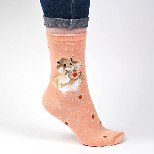 Wrendale Designs Socken, runder Hamster, Orange