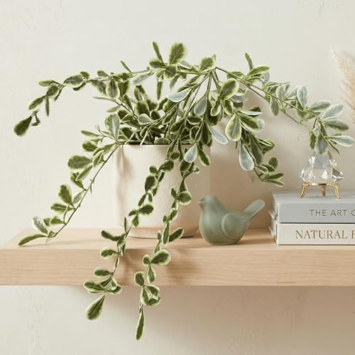 Image of Dekorly 2 Pack Artificial Plants Artificial Hanging Plants Faux Eucalyptus Leaf Greenery Fake Hanging Eucalyptus Plant (Green) (1, White and Green)