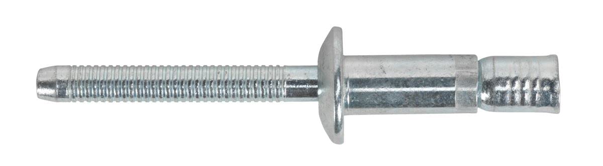 Sealey Steel Structural Rivet Zinc Plated X 23Mm Pack Of 100 Size 6.3