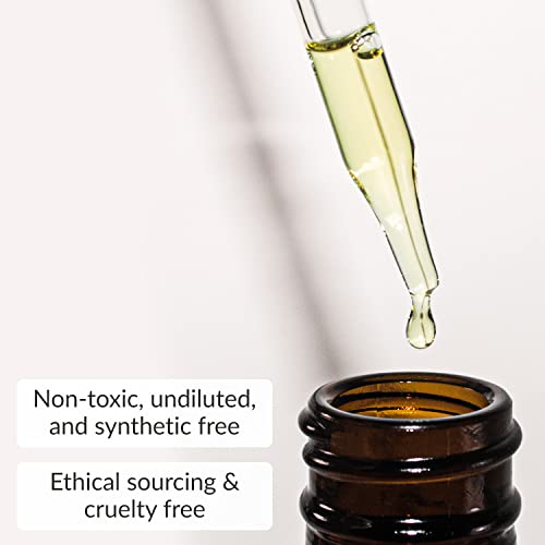 Bambuearth Daily Cleansing Oil And Makeup Remover For All Skin Types - Vegan Facial Cleanser For Removing Dirt And Excess Oil 1.8 Oz #TOP3