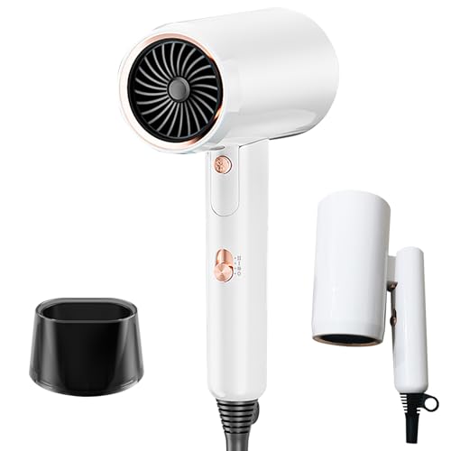Bizcasa Asciugacapelli, 2400W Asciugacapelli Professionale Phon Ionico con 3 Temperature/2 Velocità, Concentratore, Manico Pieghevole, Asciugatura Rapida, per Salone e Molte Acconciature (Bianco)