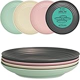 Hausfelder Camping Teller Set 4 Personen 25 cm, 4teilig Kunststoff Teller Set, unzerbrechlich und wiederverwendbar aus Mehrweg Kunststoff (4 x ø25cm, 4-farbig)