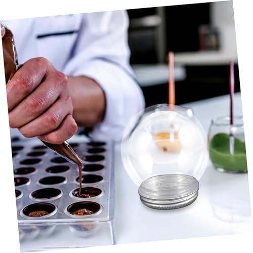 Ciieeo 10 Peças Lâmpada Cúpula Globo De Água Preenchível Flor Preservada Globos De Neve Vazios Globo