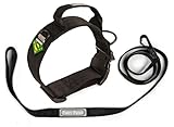 Emotional Support Service Animal Travel Collar with Built-in Handle Designed for Larger Pets Traveling in-Cabin Metal Free to Speed up The Airport TSA Inspection Process (Large 17-21 inch)