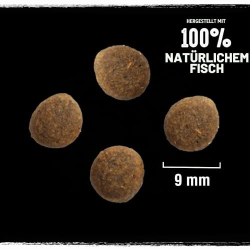 Crave Adult Trockenfutter mit Lachs & Weißfisch, 7kg (1 Beutel) – Premium Katzenfutter trocken mit hohem Proteingehalt und ohne Getreide – Hergestellt mit 100 Prozent natürlichem Fisch