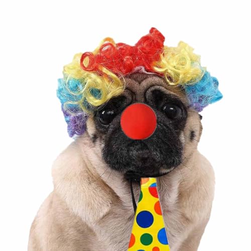 Set Disfraz Payaso para Perro con Peluca Ajustable miniatura 5