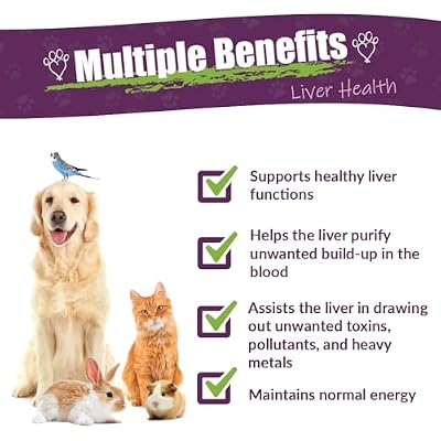 Amber NaturalZ Life Cell Support Herbal Supplement for Dogs, Cats, Birds, Rabbits, and Guinea Pigs | Supports Normal Liver Function and Lymphatic Health | Natural Aid for Detoxification 1 Fluid Ounce