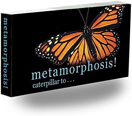 Butterfly Flipbook Animation Toy