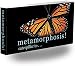 Fliptomania Caterpillar to Monarch Butterfly Metamorphosis Flipbook