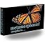 Butterfly Metamorphosis
