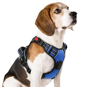 rabbitgoo Dog Harness Medium Sized,...