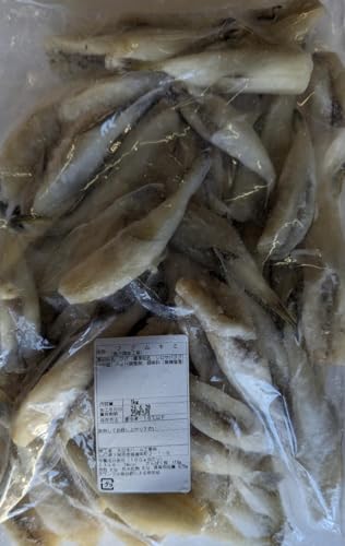 Y  ΂ӂ g (hX) 1kg (Kg31-50) TotO Ɩp Ⓚ