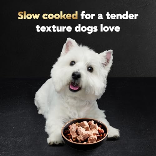 Image of Cesar Loaf & Topper in Sauce Wet Dog Food, Rotisserie Chicken Flavor with Bacon & Cheese, Wet Food for Dogs, 3.5 oz Easy Peel Trays, 24 Count (Pack of 2)