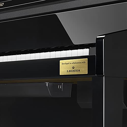 GP-510 BP Celviano Grand Hybrid Black - Les Beatles, Paul McCartney, John Lennon, RIngo Starr, George Harrison GP-510 BP Celviano Grand Hybrid Black – Image 7