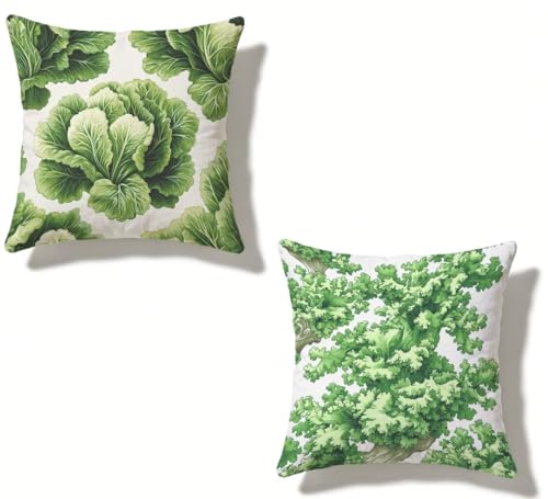 �N�b�V�����J�o�[ 40x40 cm 2���Z�b�g �� �������J�o�[ 40 x 40 �h�� ���� ���O �N�b�V���� ��� �l�C ���O Cushion Cover �l�p HD���ʈ�� ���_�� �B���t�@�X�i�[�t���C ������ �p���� �_�� �� �l�G�ʗp �� �t�G��?