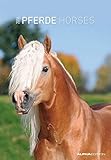  Pferde 2016 - Horses - Bildkalender (24 x 34) - Tierkalender